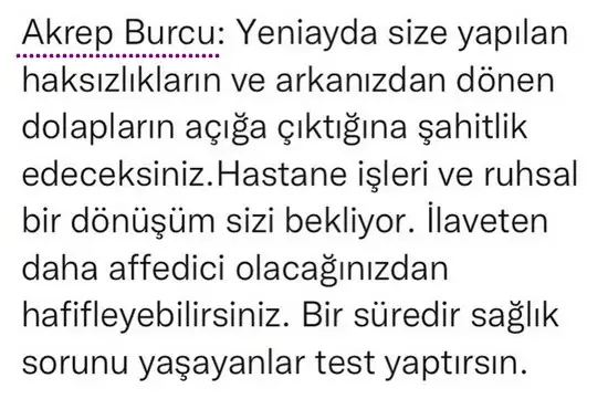 ter4 (11).webp