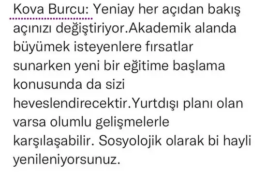 ter4 (14).webp