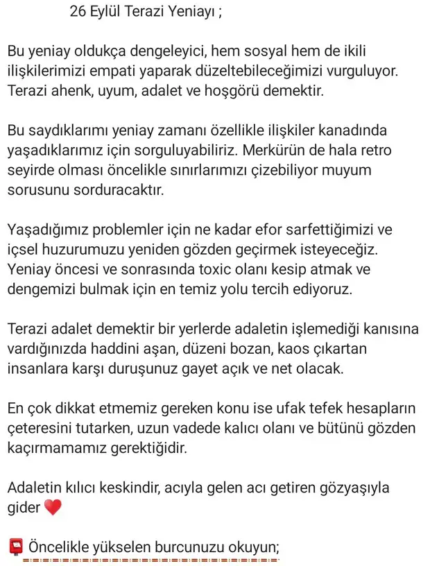 ter4 (2).webp