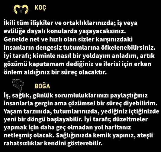 ter5 (2).webp