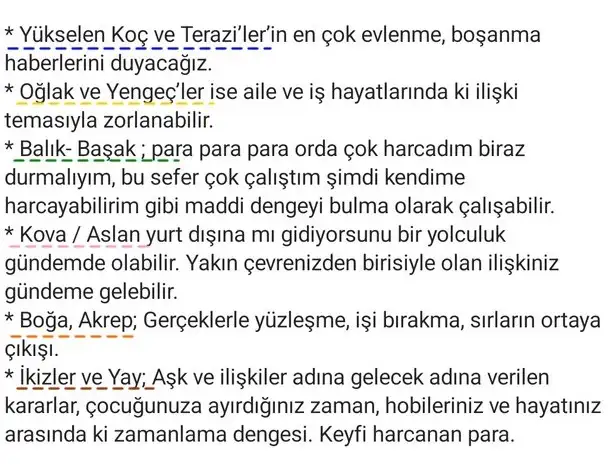 ter5 (2).webp