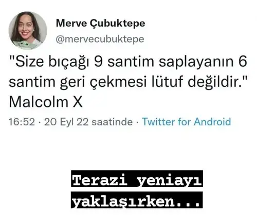 ter5.webp