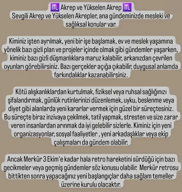 ter6 (11).webp