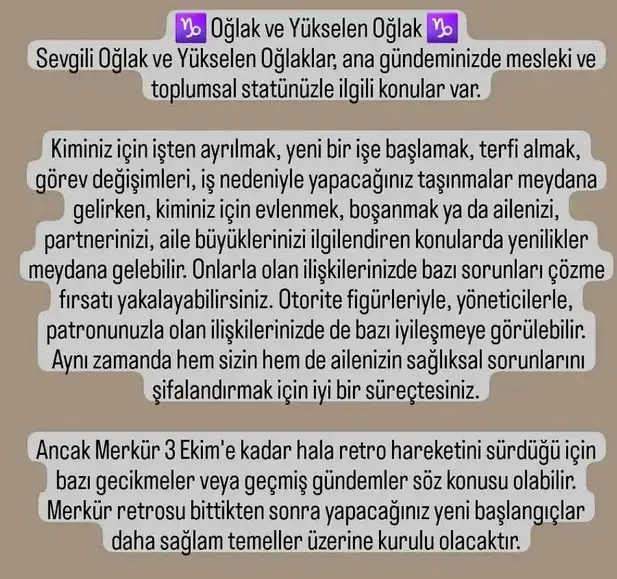 ter6 (14).webp