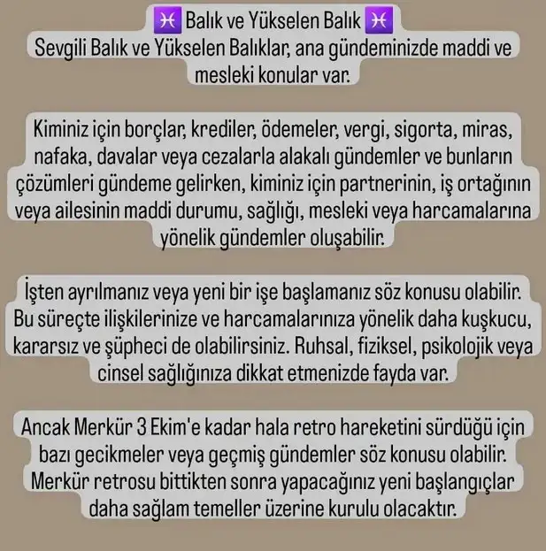 ter6 (16).webp
