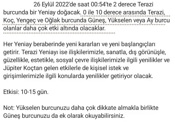 ter6 (3).webp