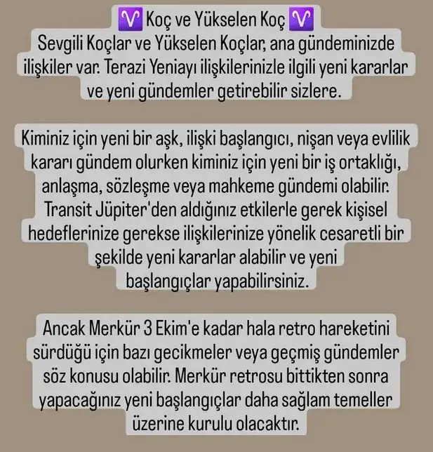 ter6 (4).webp