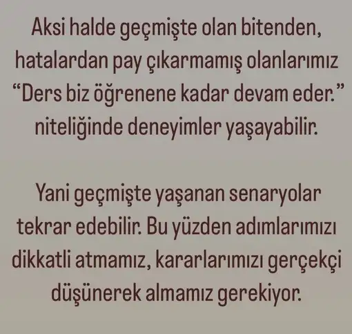 ter6 (4).webp