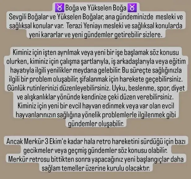 ter6 (5).webp