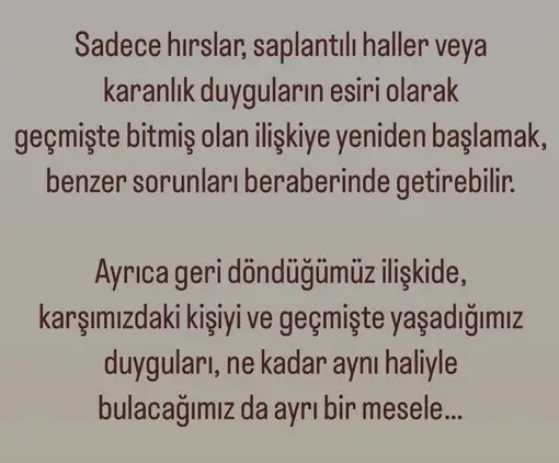 ter6 (5).webp
