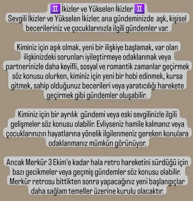 ter6 (6).webp