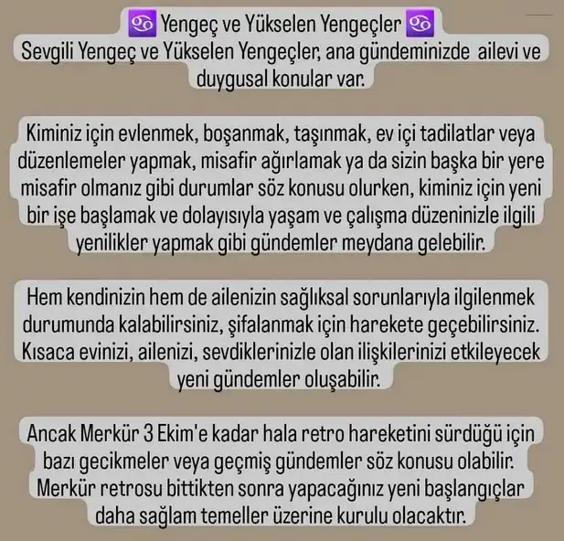ter6 (7).webp