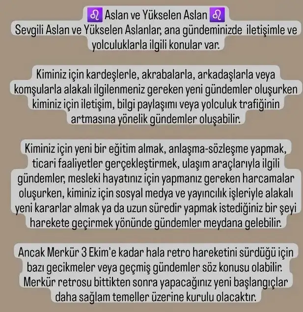 ter6 (8).webp