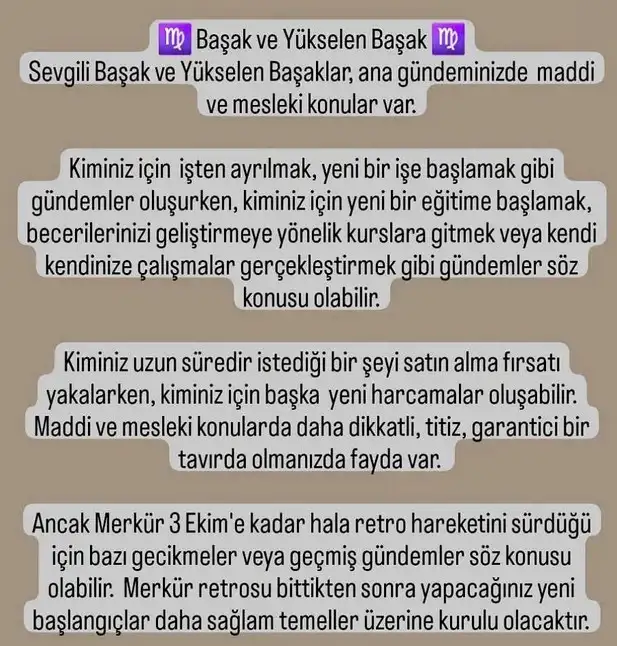 ter6 (9).webp