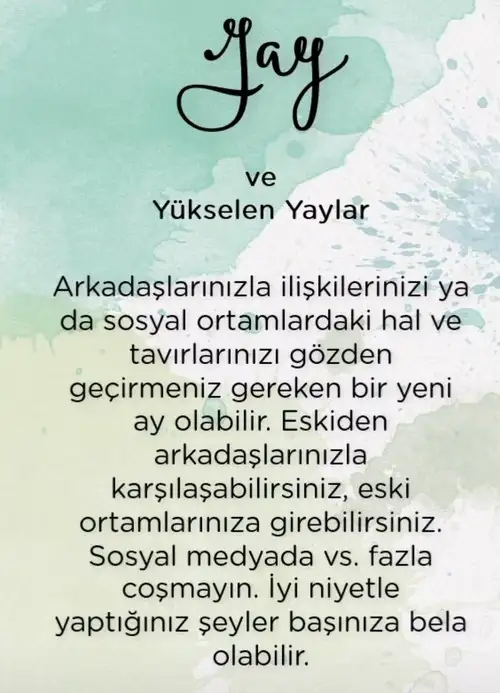 ter7 (10).webp
