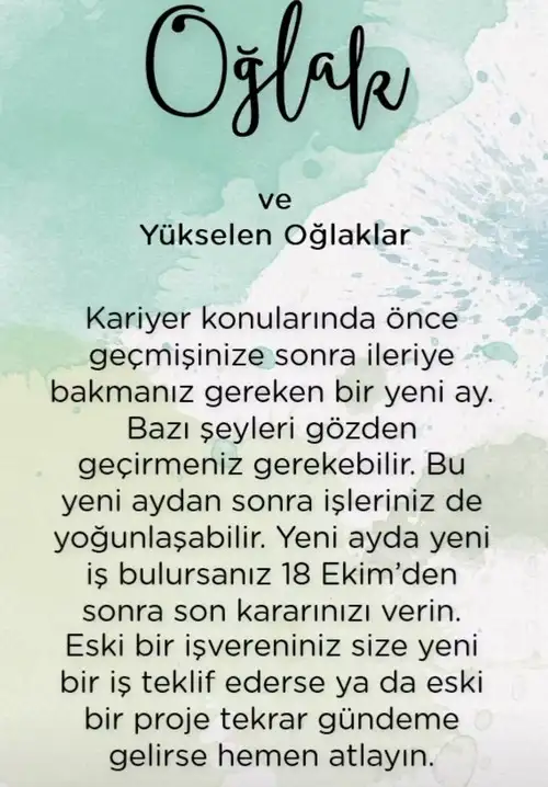 ter7 (11).webp