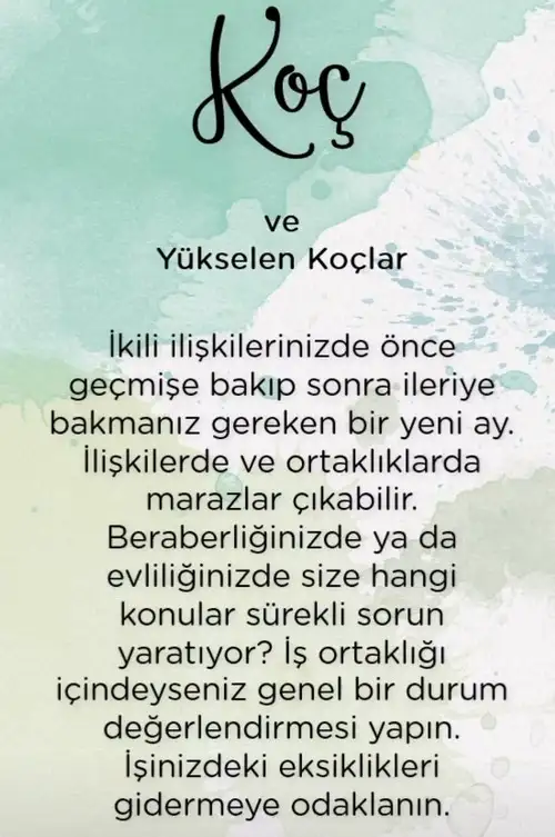 ter7 (2).webp