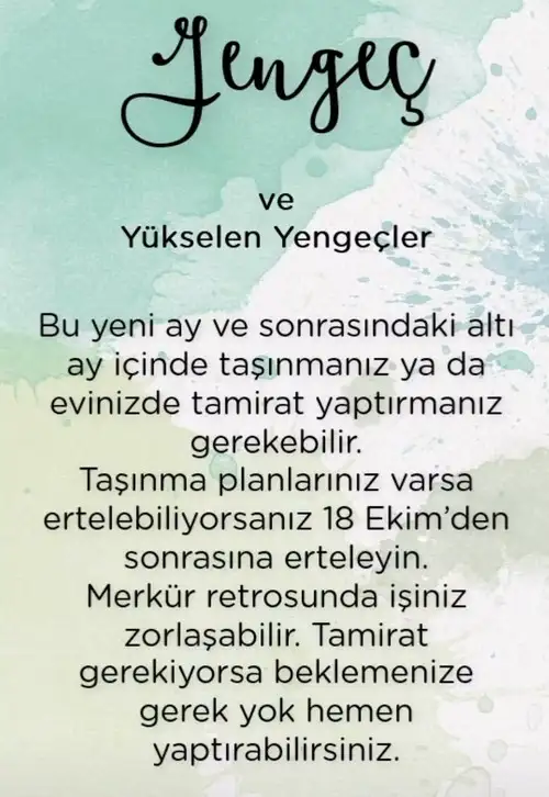 ter7 (5).webp