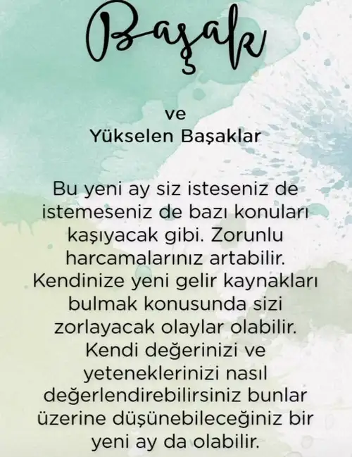 ter7 (7).webp