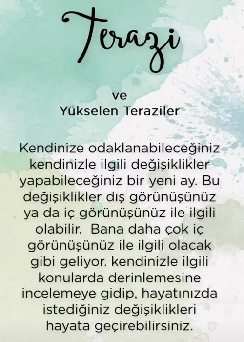 ter7 (8).webp