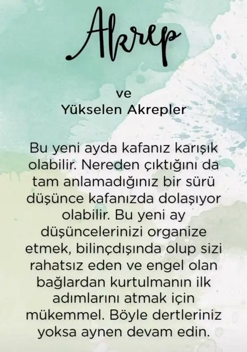 ter7 (9).webp