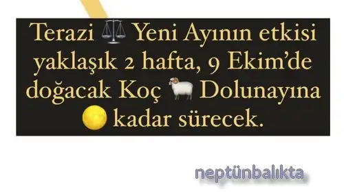 ter9 (1).webp