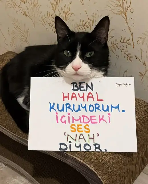 terazi-burcunda-dolunay-2.webp