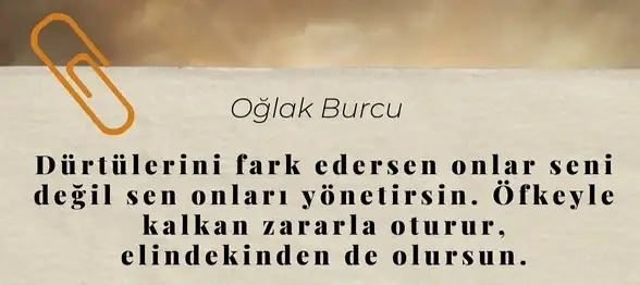 terazi11 (11).webp