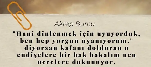 terazi11 (9).webp