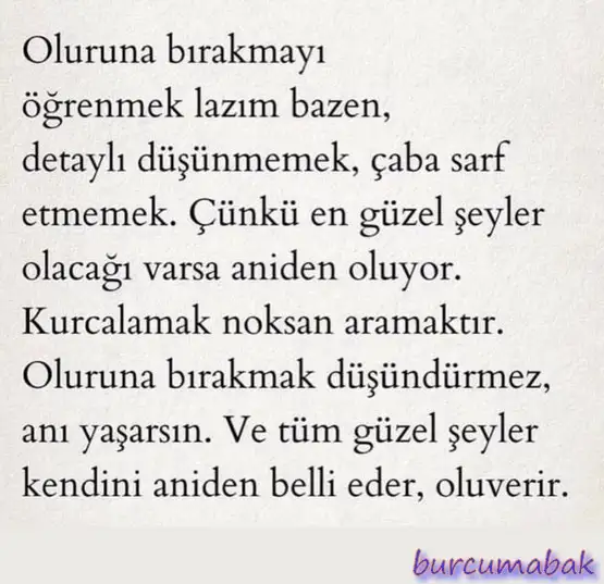 terazi19.webp