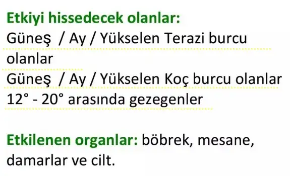 terazi2 (3).webp