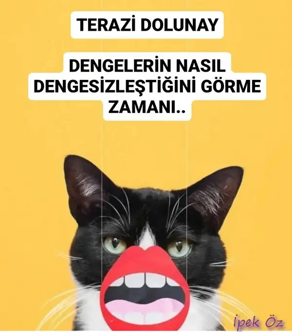 terazi20 (1).webp