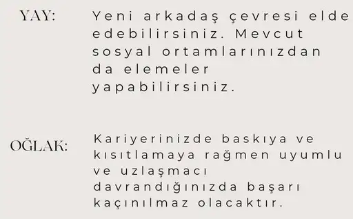 terazi20 (5).webp