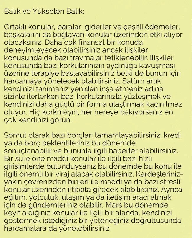 terazi23 (14).webp