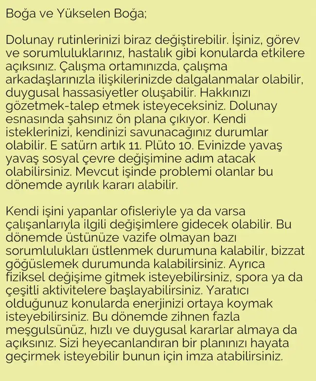terazi23 (4).webp