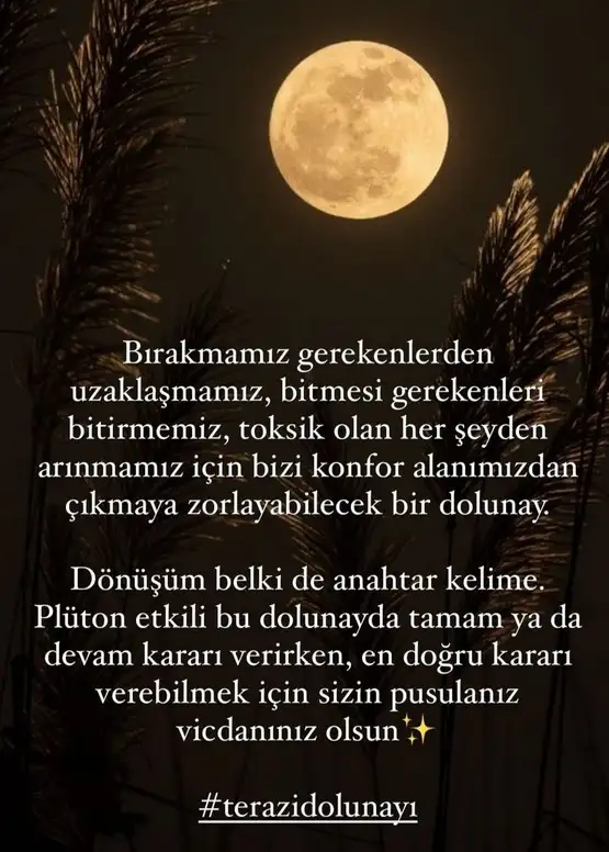 terazi27.webp