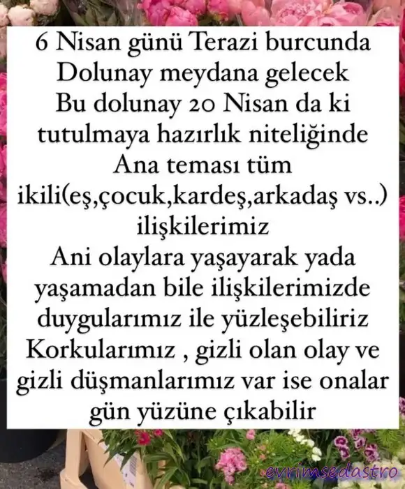 terazi29.webp