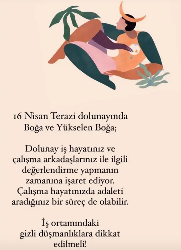 terazi8 (2).webp