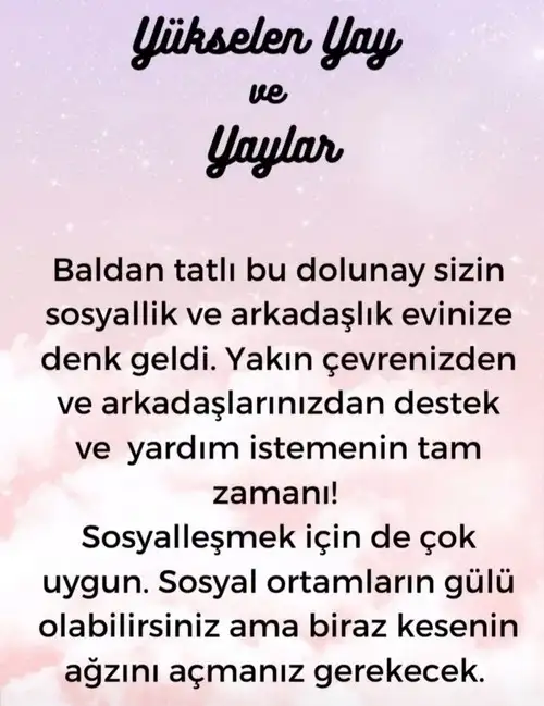 terazi9 (4).webp