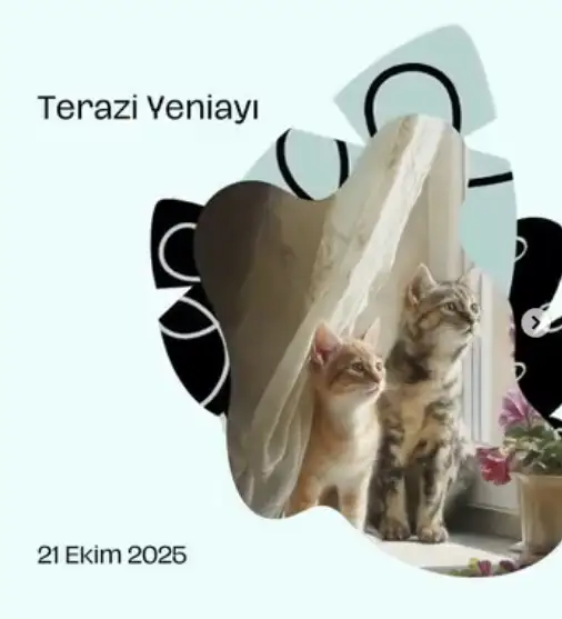 terazii (1).webp