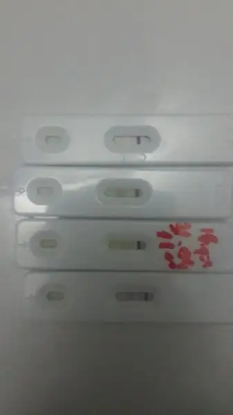 test 2.webp