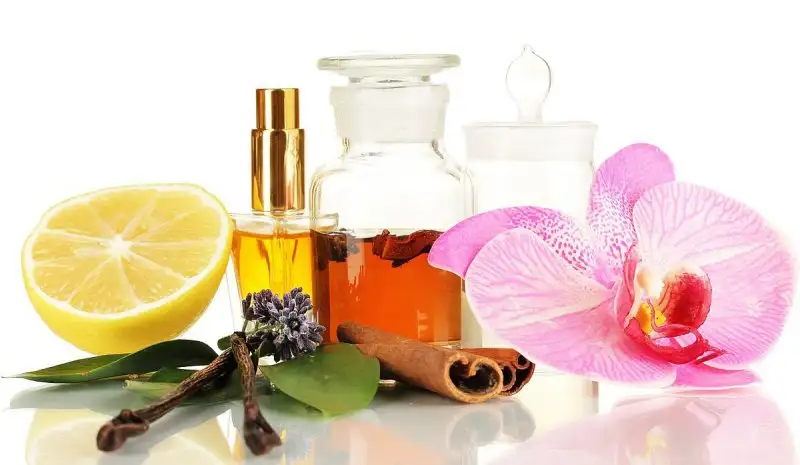tester-parfum-nedir.webp