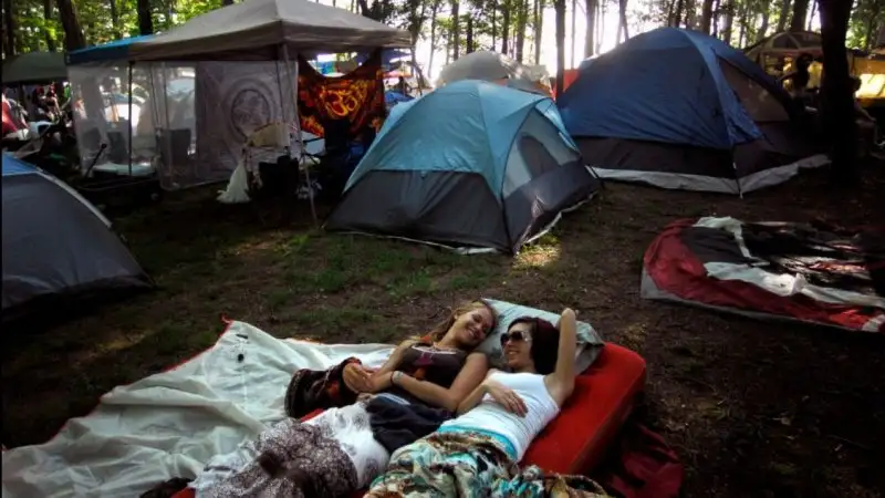 thumbnail_detail_468926.webp