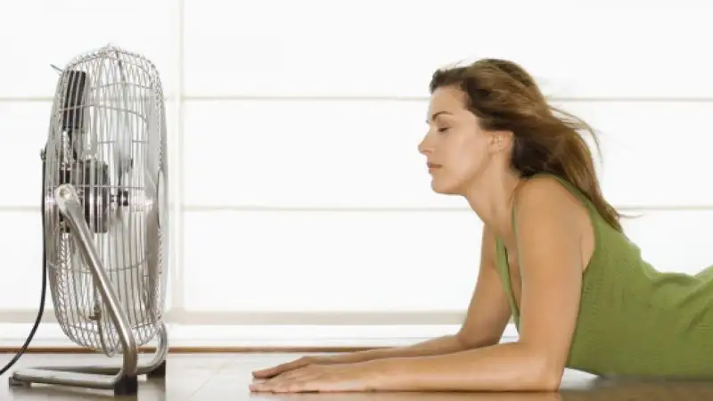 thumbnail_detail_471715.webp