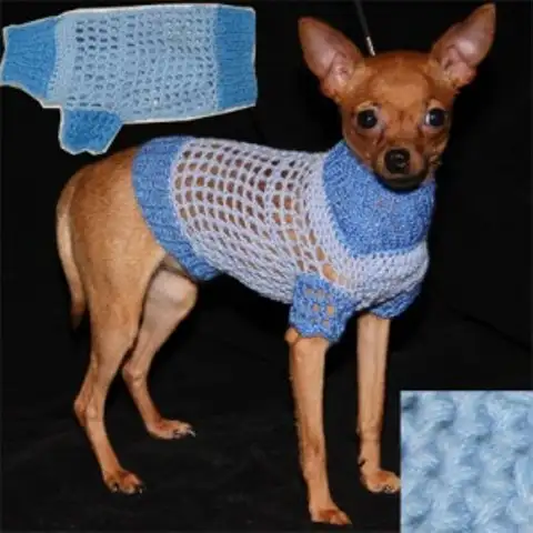 tığ-işi-örgü-köpek-giysisi.webp