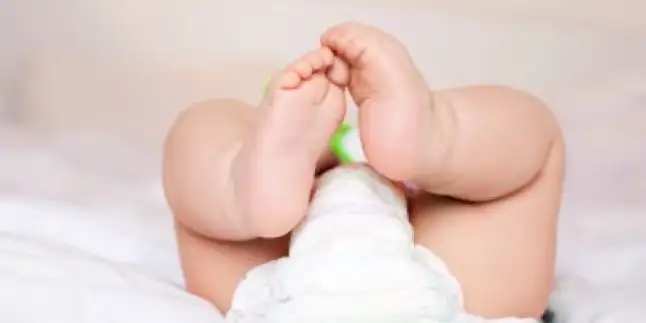 timthumb.php.webp