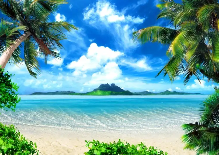 TO2525.webp