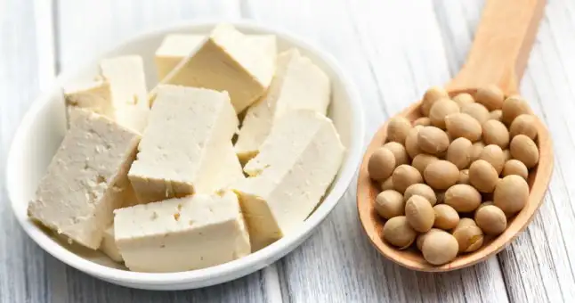 tofu-nedir_646x340.webp