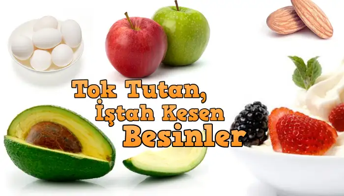 tok-tutan.webp