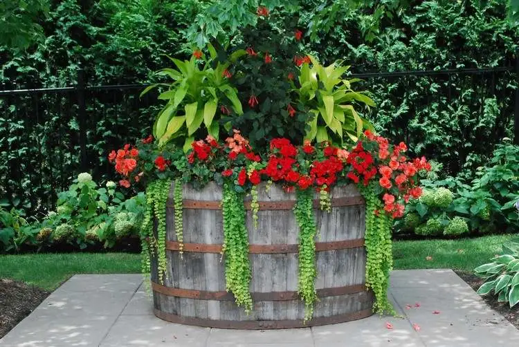 tonneau-en-bois-grande-jardiniere-composition-fleurs-idee-deco-jardin-recup.webp